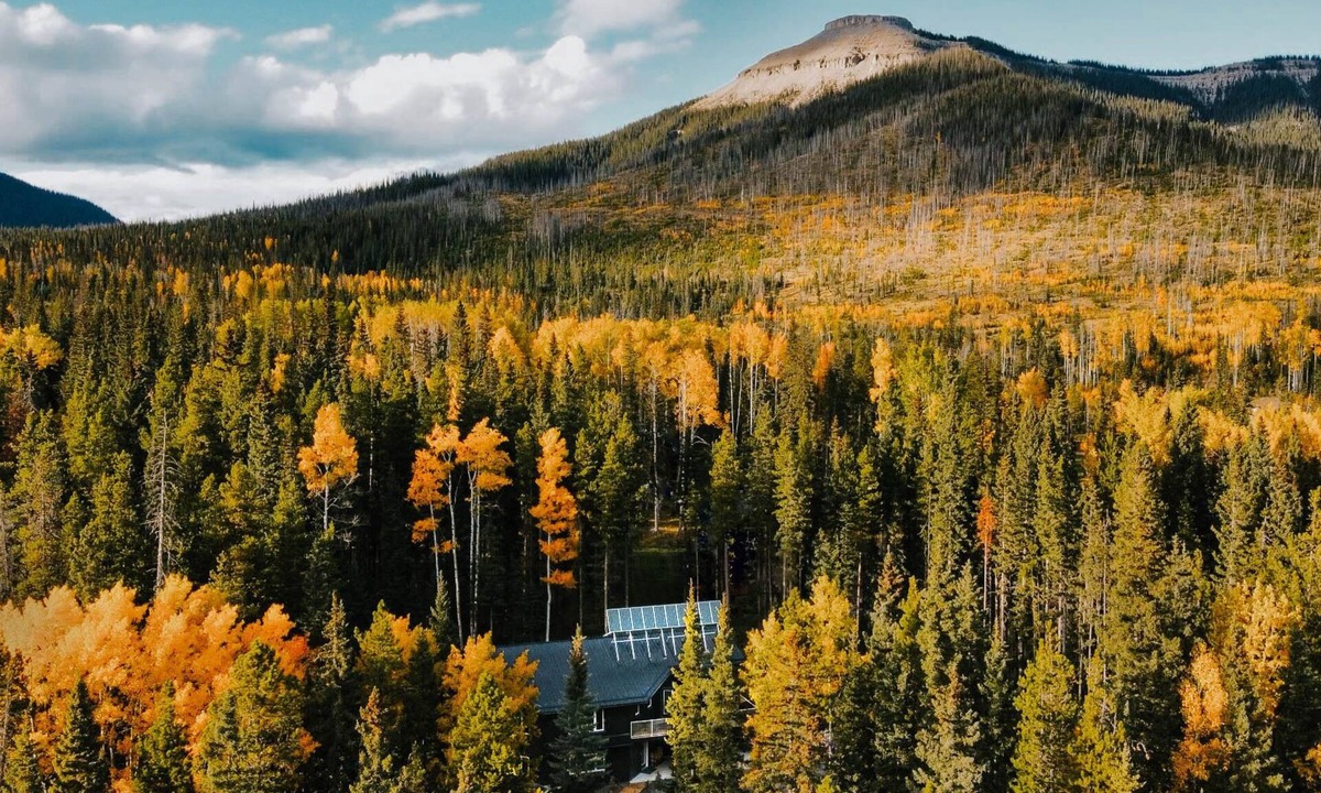Nordegg House | A Scandinavian spa getaway in the forest - calm, minimal, and serene.
