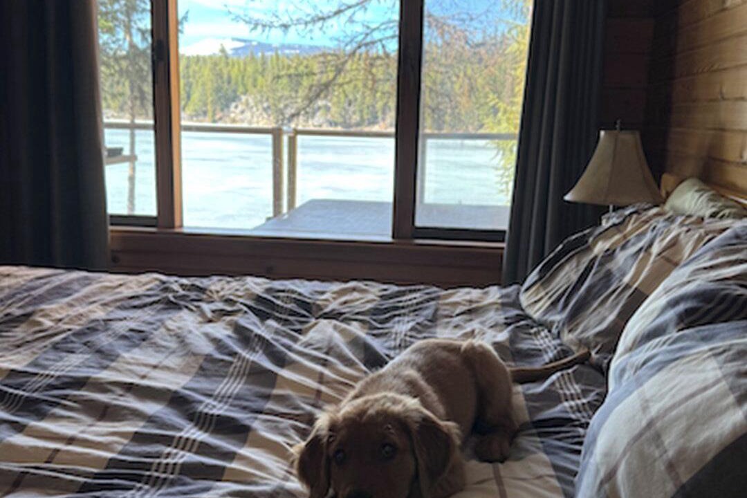 Idabel Lake Cabin | Cozy Pet-Friendly Cabin at Idabel Lake - Two bedrooms, sleeps 6, close to skiing