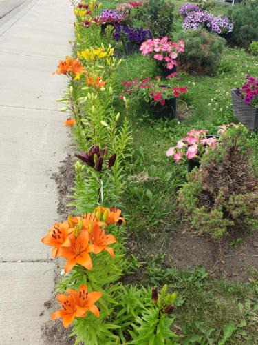 Cold Lake Hotel | Dockside Inn