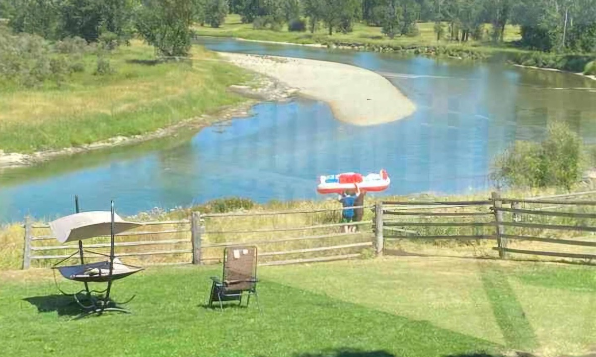 Ashton Creek Cabin | Hidden Gem Oasis A peaceful, beautiful spot on the Shuswap River, pet-friendly,