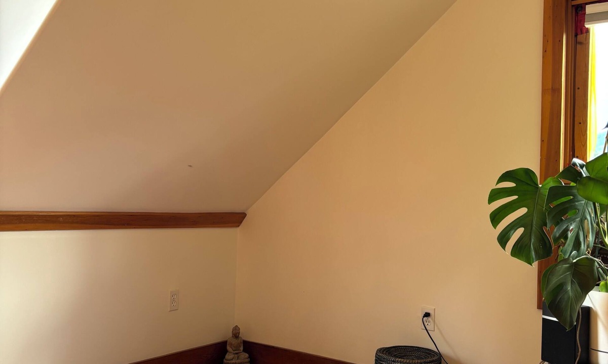 Kaslo House | Kaslo Manor Lodge - The Loki Suite - perfect for groups/families, pet friendly