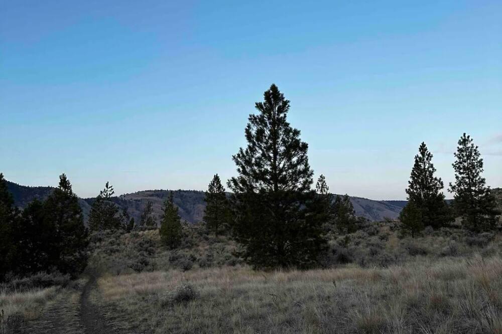 Kamloops Apartment | New beautiful quiet suite in Juniper Ridge. Very luxurious!
