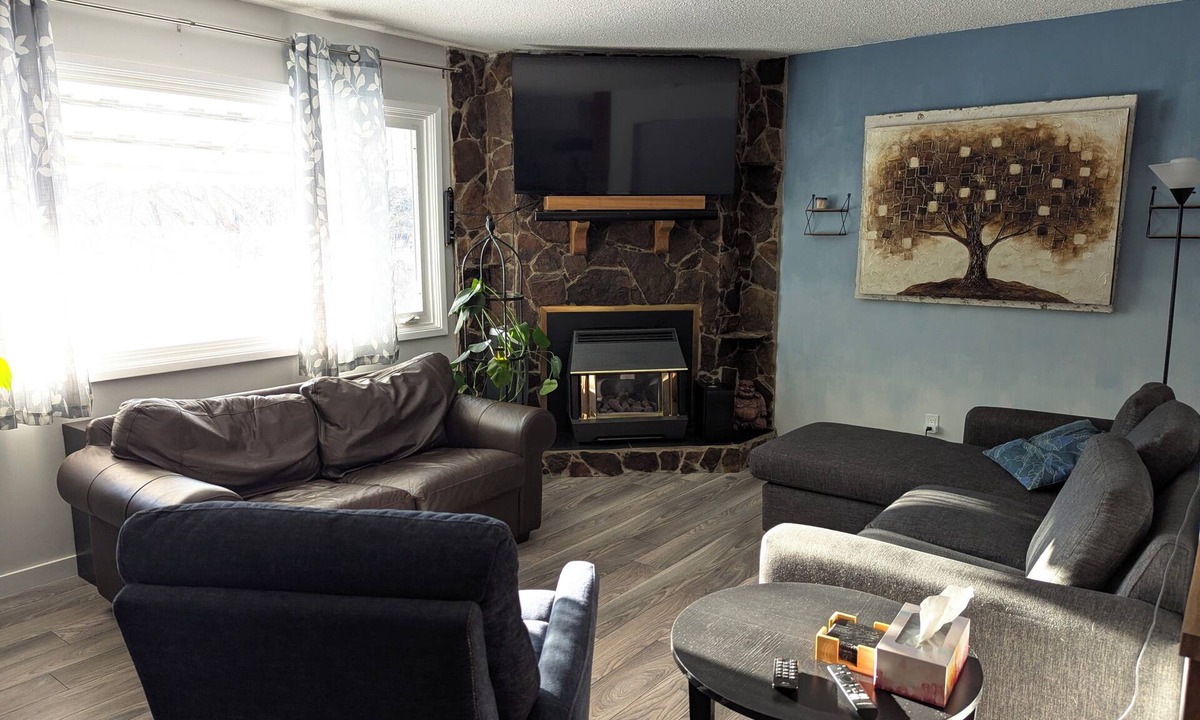 Southeast Calgary House | Ultra Cozy BohoModern Smart(ish) Home