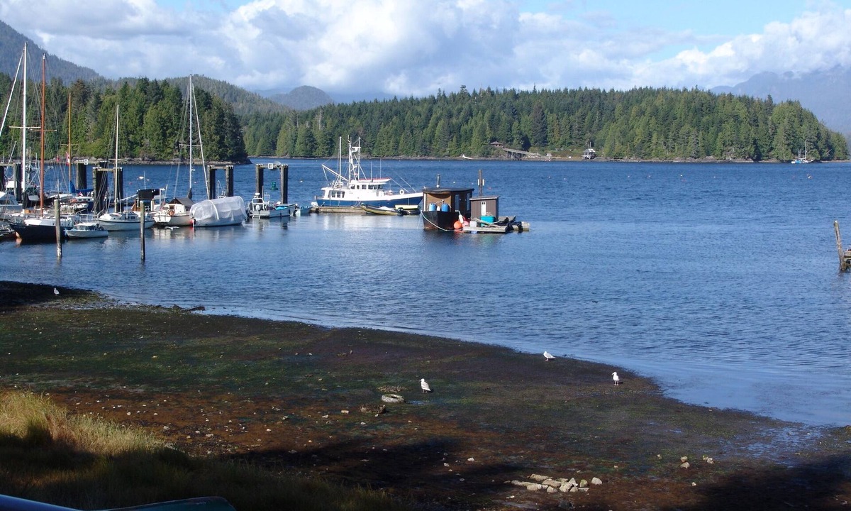 Tofino Villa | Waterfront View of the Inlet, Short Walk to Town