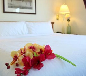 Nomad Hotel 