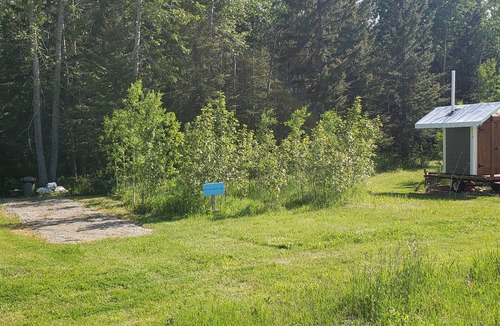 Sundre RV Rental | #2 Tent and RV site