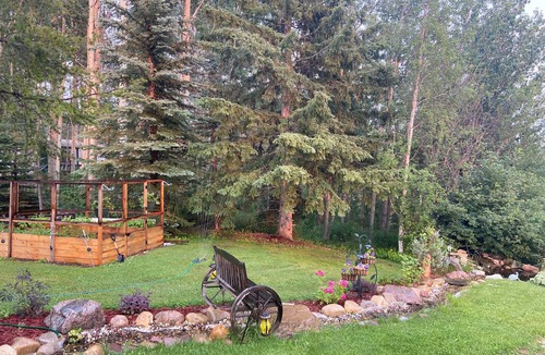 Clearwater County Cabin | A fabulous place to unwind. Sit listen & watch Mother Nature. Pure Bliss!