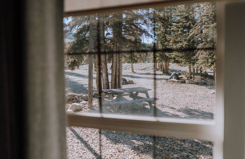 Red Deer River Crossing Cabin | Aster Cabin: Mountain Getaway | Sleeps 5 | Kitchen