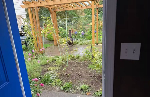 Saanich East Cabin | Cadboro Bay SeaCave | Beside UVic | Ocean