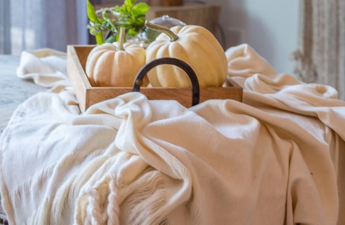 Vernon House | Colibri Hideaway- 3br cozy country getaway