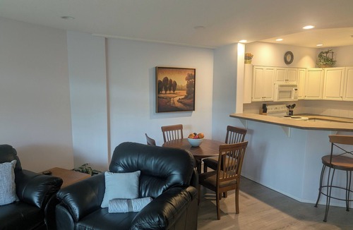 Cultural District Condo | Condo By the Lake-DB204