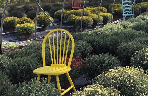 Salmon Arm Cottage | Cozy guesthouse on a working fruit and flower farm.
