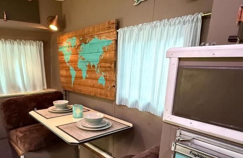 Golden Other | Cozy Vintage Camper, the Tealy Wheely