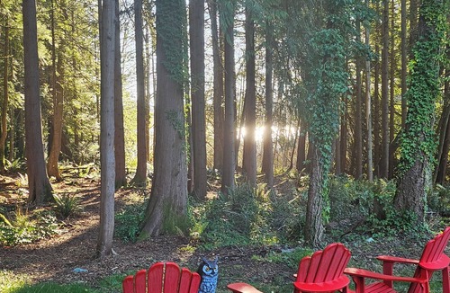 Saanich House | Family Lakehouse on Elk Lake, with direct access to lake, beaches and trails.