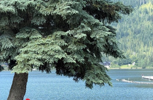 Sicamous Condo | Grandview Shores - Unit 203