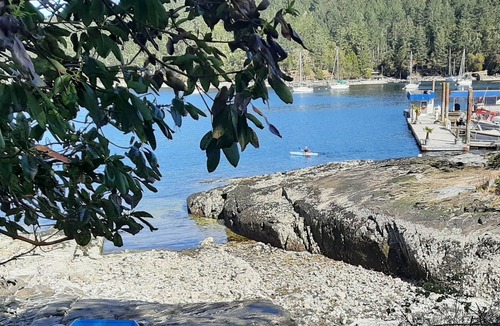 Maple Bay Apartment | Private suite tucked between a peaceful mountain forest and a tranquil ocean bay