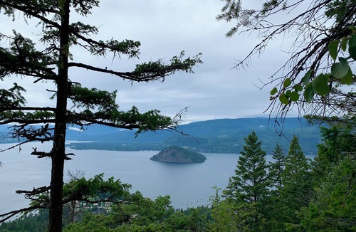 Blind Bay Cottage | Semi-Waterfront Cottage, w/beach & dock access & buoy, West View, Pet Friendly