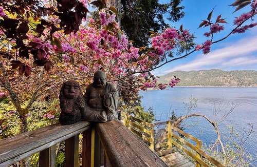 Pender Island Apartment | Shangrila Luxury Waterfront King Suite | Private Balcony & Beach Access