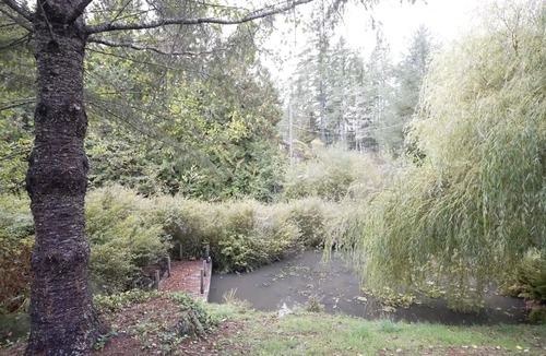 Sooke House | Sitka Grove - Beautiful garden suite in a park like setting!