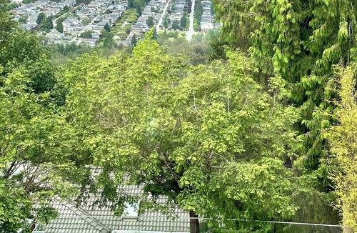 Burnaby House | Spacious Family Home | Pool | Hot Tub | Views