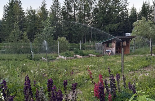 Celista Cabin | Takasümi Forest Resort Lodge - stunning cliffside view log cabin on 45 acres