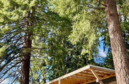 Regional District of Nanaimo Cabin | The Oystercatcher-A Bright, off-grid Container home.