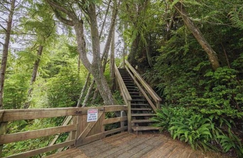 Ucluelet Cottage | Ucluelet Cottage - Hearth and Cove