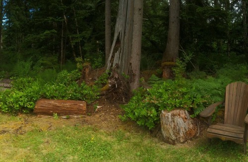 Regional District of Nanaimo Cabin | Welcome to Suite Amour cottages Your Islands “Getaway from the everyday !”