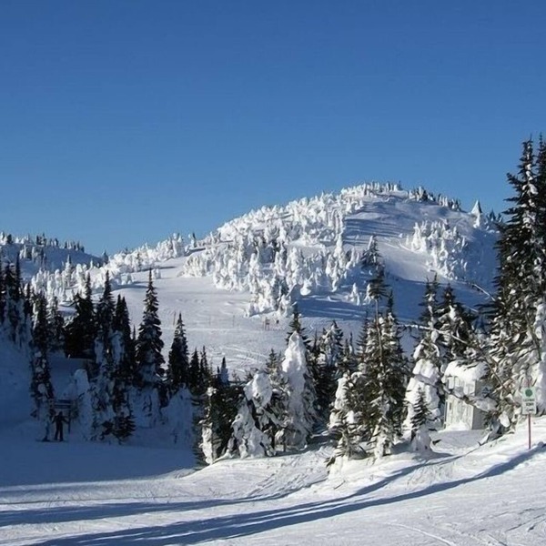 The Best Ski in/Ski Out Location with Private Hot Tub & Bbq