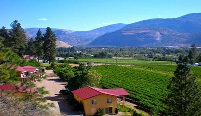 1 BR guest house overlooking a beautiful vineyard