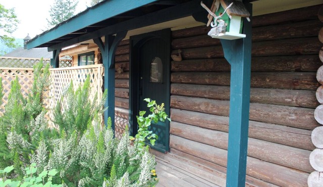 100 Year-Old Log Cabin Lovingly Restored - With New Bathroom And Kitchenette