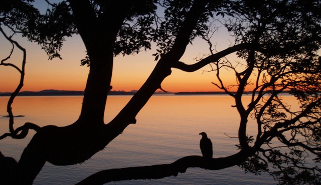 180° OCEANFRONT 15 min to downtown,Wineries. Beach,Hot Tub
