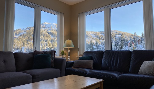 3 BR Mountain View Blueberry Hill Penthouse @ Mt. Washington