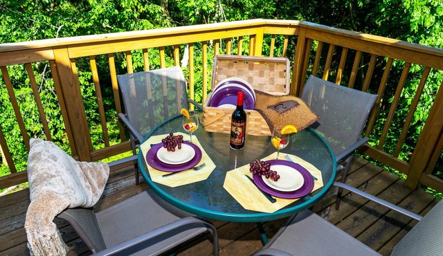 3bd/3.5ba, Bright & Spacious, Fab Screened Porch, Fireplace in Galena