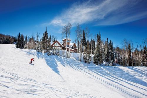 Alpen Ridge by Exceptional Stays in Telluride