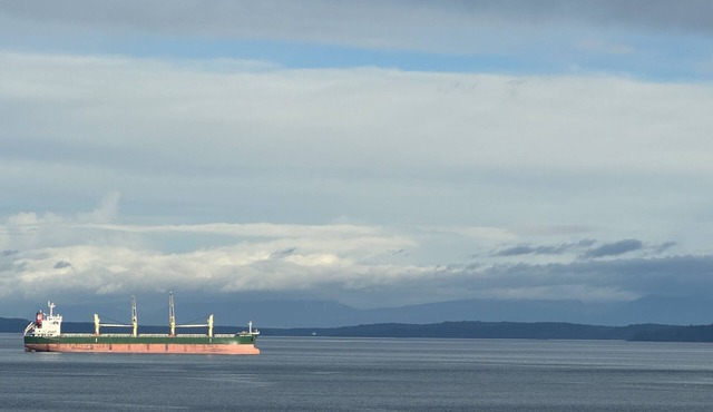 Beachfront property with beach access located in in close proximity to amenities in Chemainus