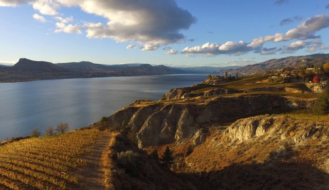 Beautiful lakefront vineyard in the heart of Okanagan wine country , 2BR suite