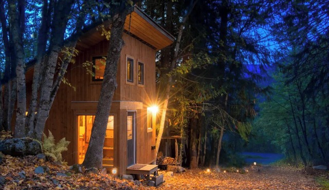 Bees Knees in the Trees Tiny Home - Hot Tub, Sauna & Cold Plunge in Nelson