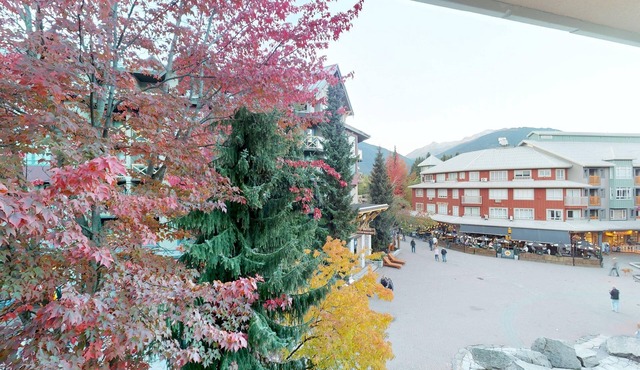 BL307 · Whistler Village - Views of Village- walk to lifts