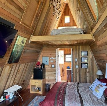 Bratty Catty Cabin