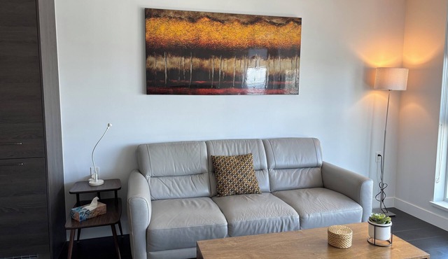 Burnaby Metropolis Metrotown/1bedroom Condo/AC/Skytrain/Pool/Gym