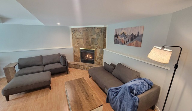 C&C Suite-Newly Renovated, Fire Place, Yard, Private
