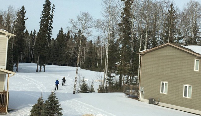 Candle Lake Townhouse backing the golf course in Candle Lake