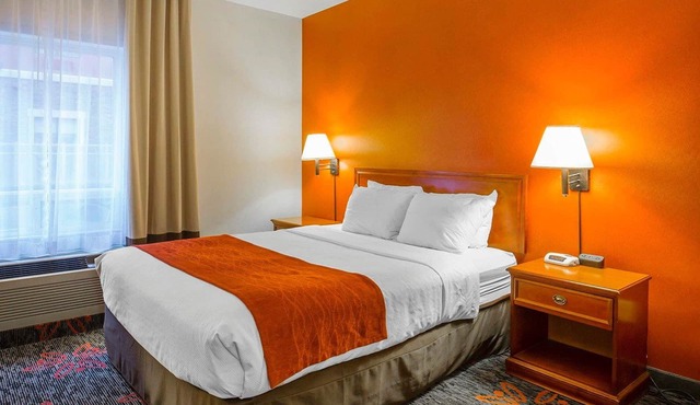 Comfort Inn & Suites University