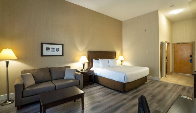 Comfort Inn Surrey Hotel