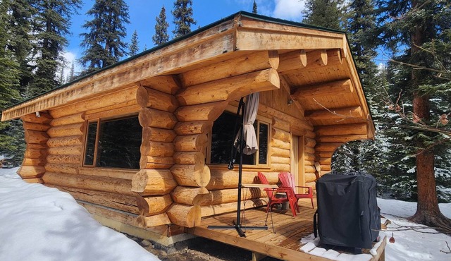 Cozy Off-Grid Log Cabin in Rock Lake Provincial Park, Alberta. Dark Skies Await!