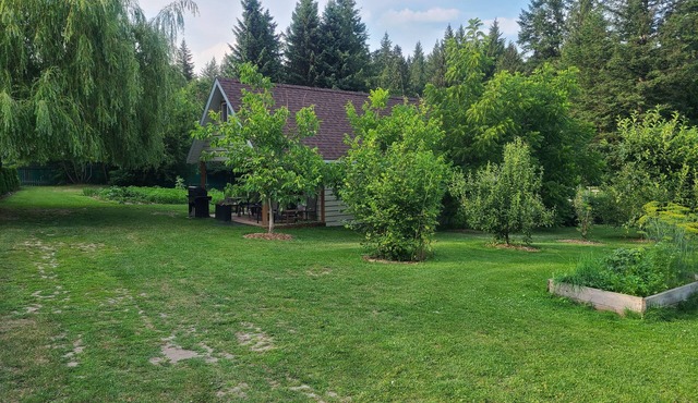 Cozy Cabin, 2 min to the HWY1, 5 minutes to the Shuswap lake