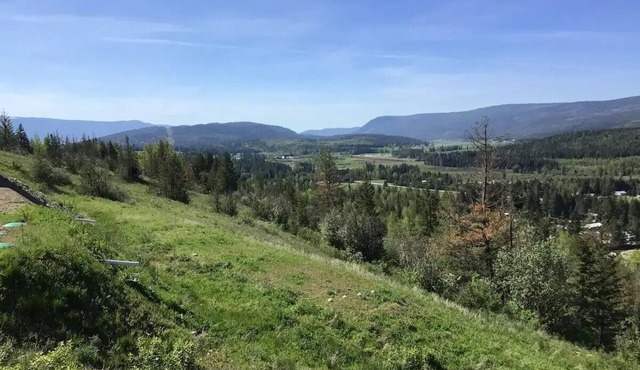 Cozy carriage house apartment with gorgeous Mount Ida views.