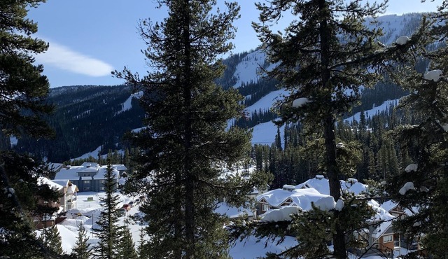 Cozy Family Sized ski retreat at Apex Mountain.