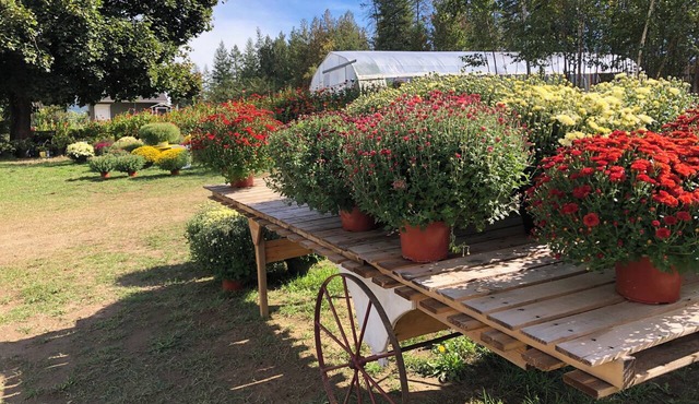 Cozy guesthouse on a working fruit and flower farm.
